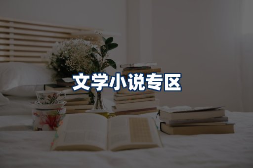 文学小说PDF展示